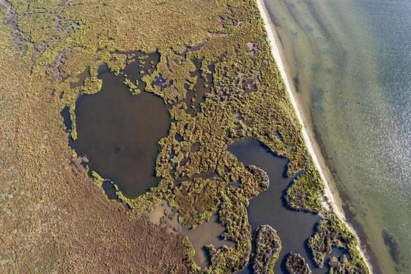 The Conservation Estate: How Affluent American Families Are Transforming Premium Lakefront Acquisitions Into Ecological Legacies