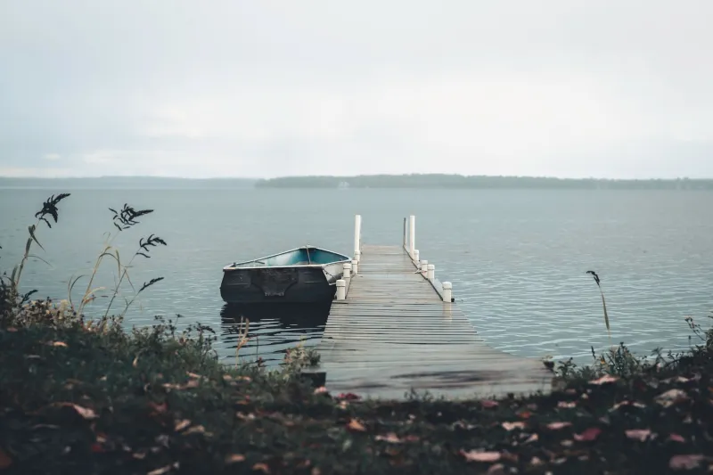 The Restoration Mandate: How America's Most Driven Professionals Are Engineering Lake Estates for Deep Recovery
